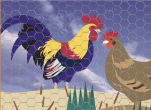 Giardino-Produkte Sechseckgeflecht verzinkt 25 0 8 1 00m x 2 5m