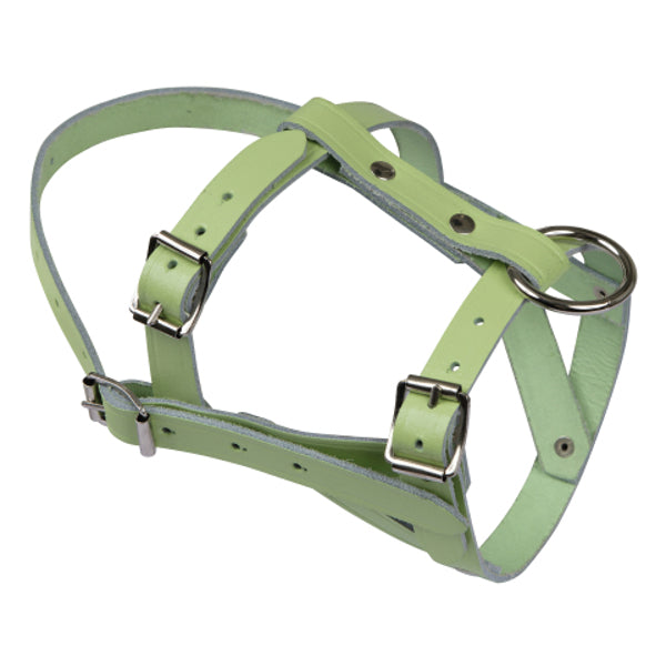 Ziegen-Schaf-Halfter aus Leder