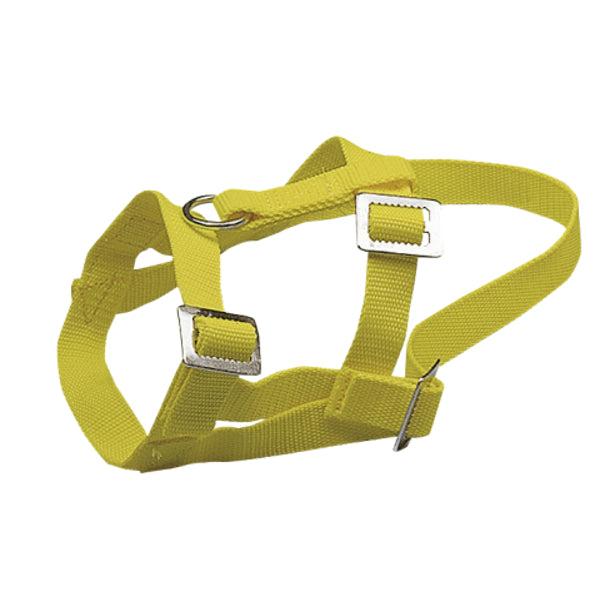 Ziegen-Schaf-Halfter aus Nylon