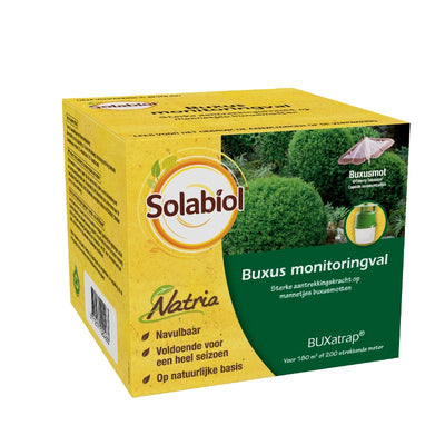 SBM Life Science Solabiol Buxatrap Buxus Monitoring Trap