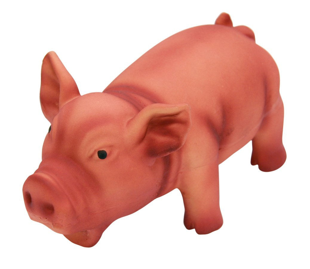 Latexschwein m knurrend 15cm farblich sortiert
