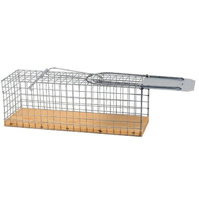 NGK-Produkte aus Rattenholzboden