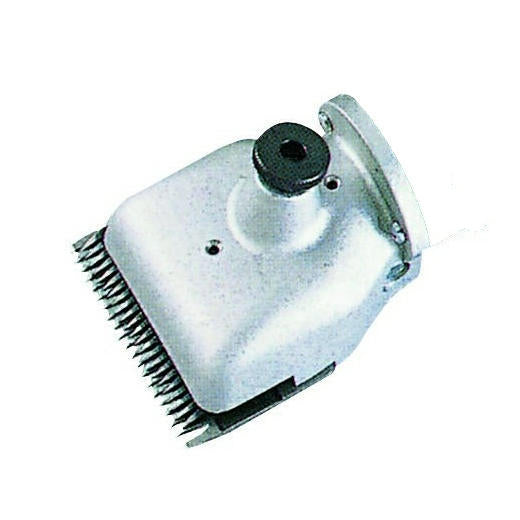 Heiniger Scherkopf Rind