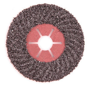 Hufschleifscheibe Cecrops 115mm