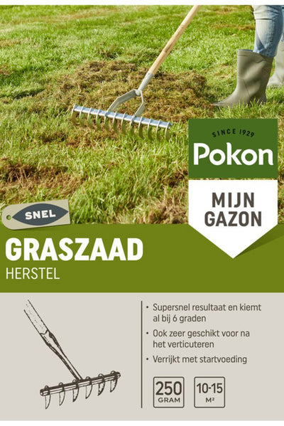 Pokon-Grassamen-Wiedergewinnung sos 250gr - 7684411100