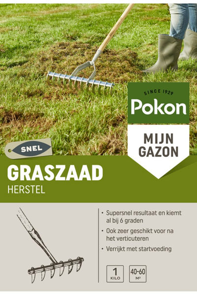 Pokon Grassamen-Wiedergewinnung SOS 1 kg – 7684501100