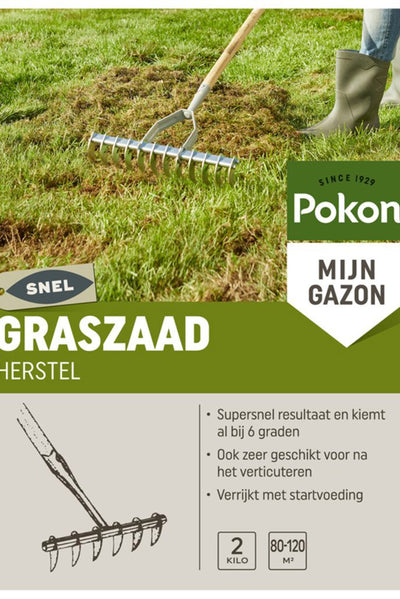 Pokon Grassamen-Wiedergewinnung SOS 2 kg – 7684561100