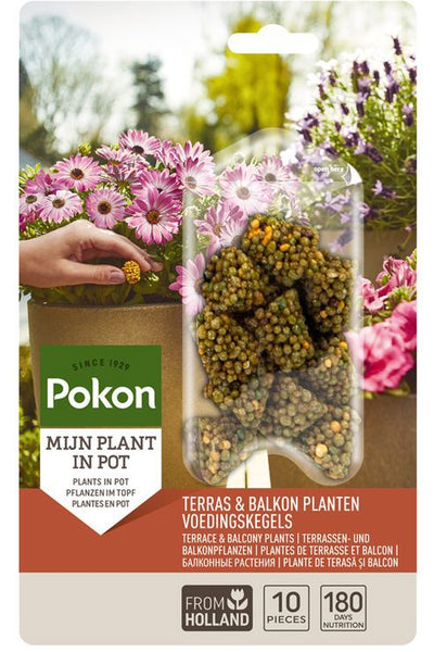 Pokon Terrassenbalkonpflanzen Ernährung lange Zapfen 10 Stk