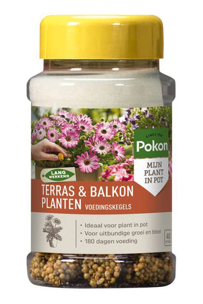Pokon Terrassenbalkonpflanzen Ernährung lange Zapfen 40 Stk
