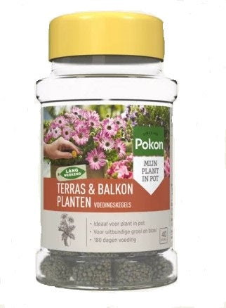 Pokon Terrassenbalkonpflanzen Futterkegel 40 Stk
