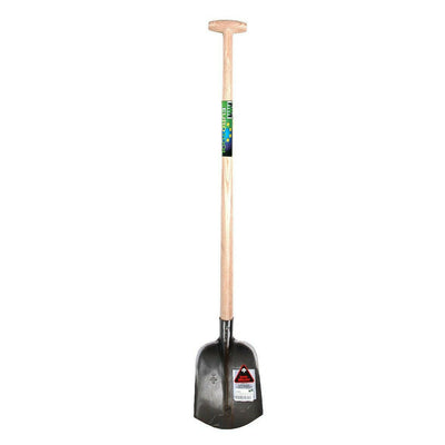 Mm Eurotool Produkte Fledermäuse Ruhr Brillant 000 120cm