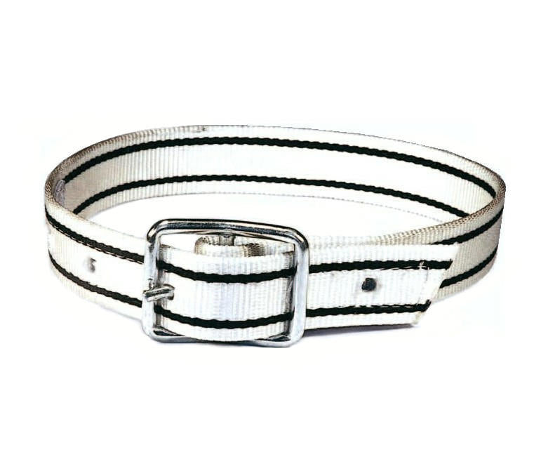 Produkte Sauenhalsband Nylon 165 cm Zungenschnalle