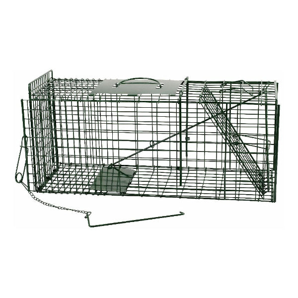 Ngk Products Live Catcher Vooi Grün 67x24x315cm