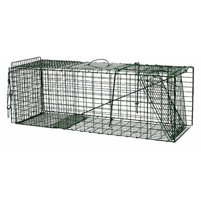 NGK Products Lebendfänger von Ewe, grün, 94 x 31 x 34 cm