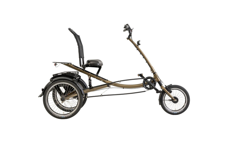 PFATEC Shopping Bike Scootertrike (#1)