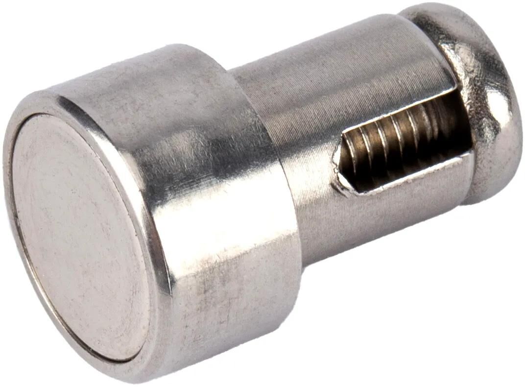 Bosch sprach aus 2011 Magnet