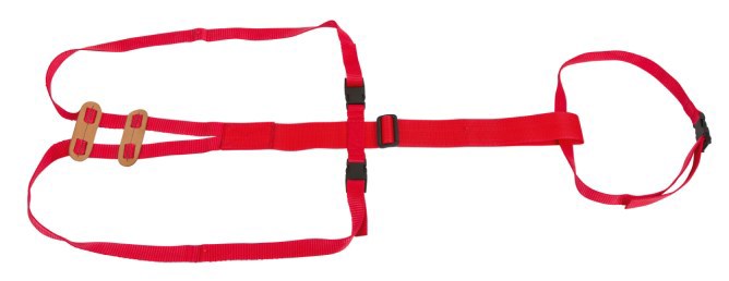 Body Bidder Bandage Prolaps-Bandage für Schafe