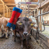 Happycow Viehbürste Freemaxi