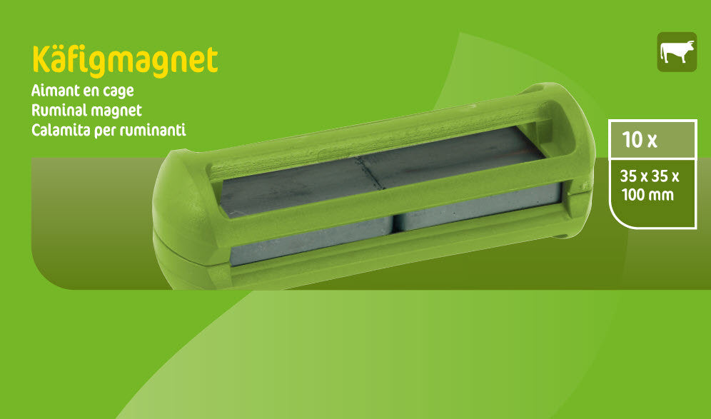 Magen-Magnetkäfig-Modell | 10 Stück
