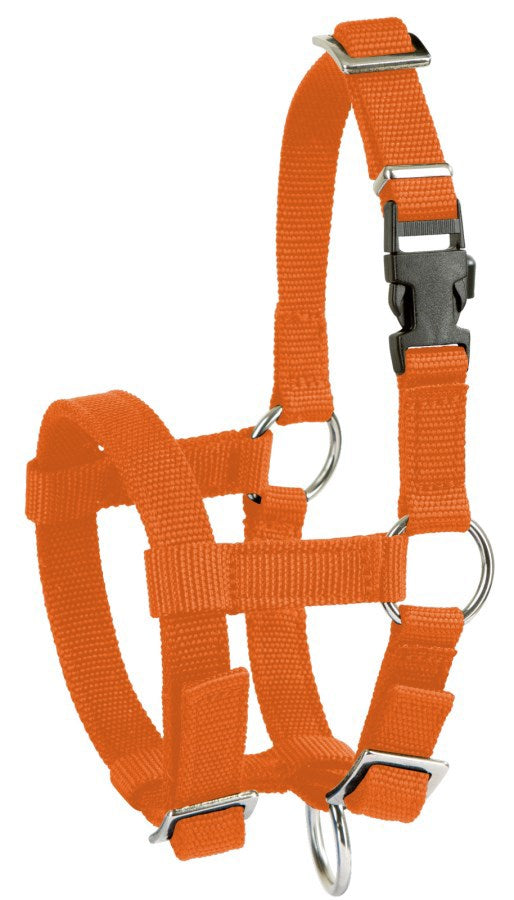 Alpaka-Halfter orange