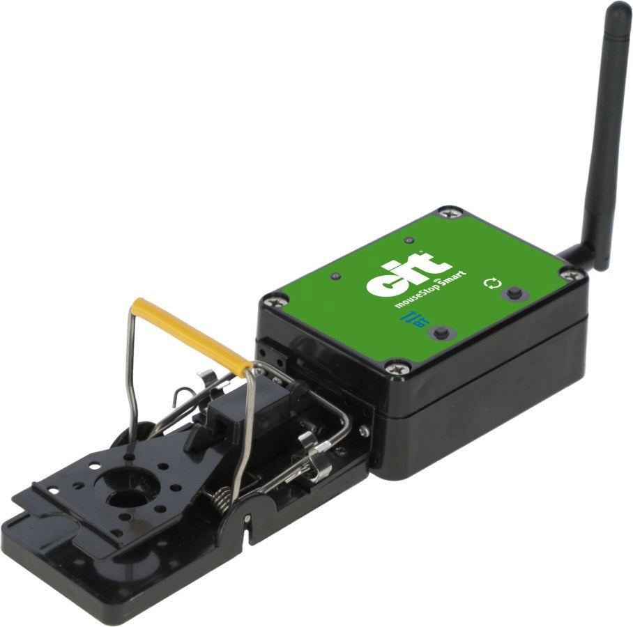Mausefalle Smart Cit Mousestop