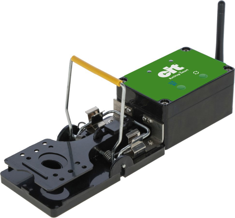 Rattenfalle Smart Cit Ratstop