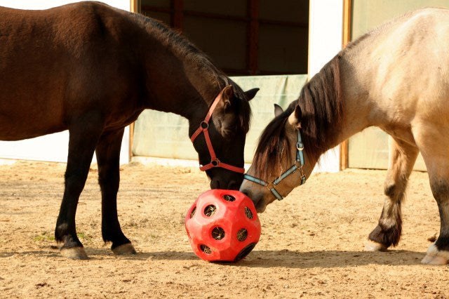 Roter Futterball