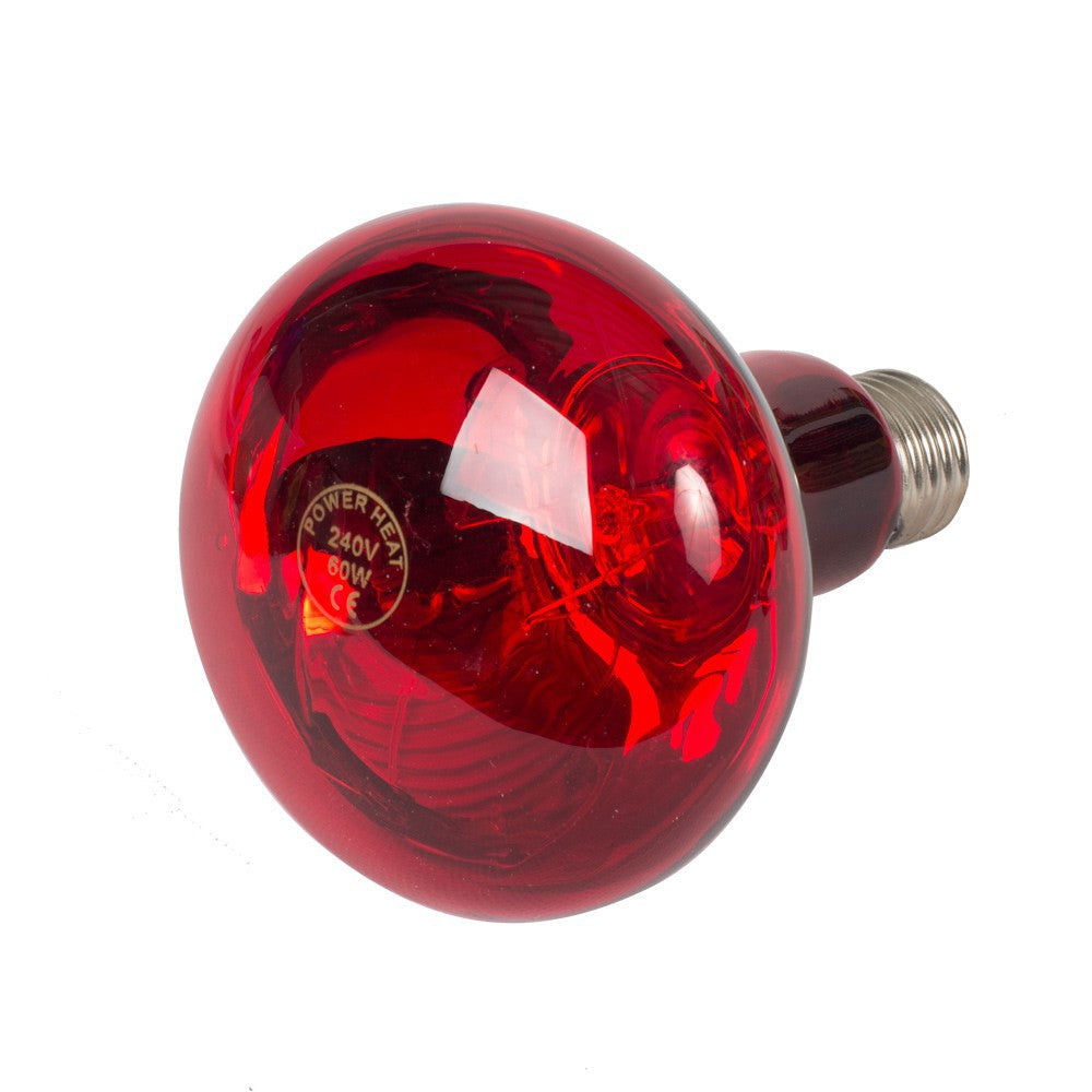 Produkte Wärmelampe Powerheat 60w rot