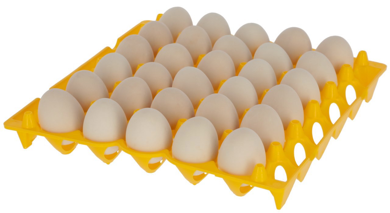 Eierhalter aus Kunststoff für 30 Eier