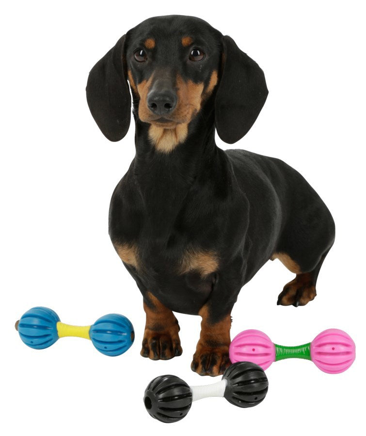 Hundespielzeug-Hantel | 32 Stück