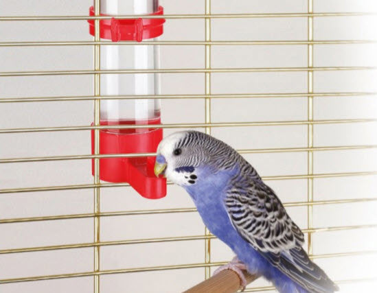 Kerbl Vogeltränke 16 cm 130 ml