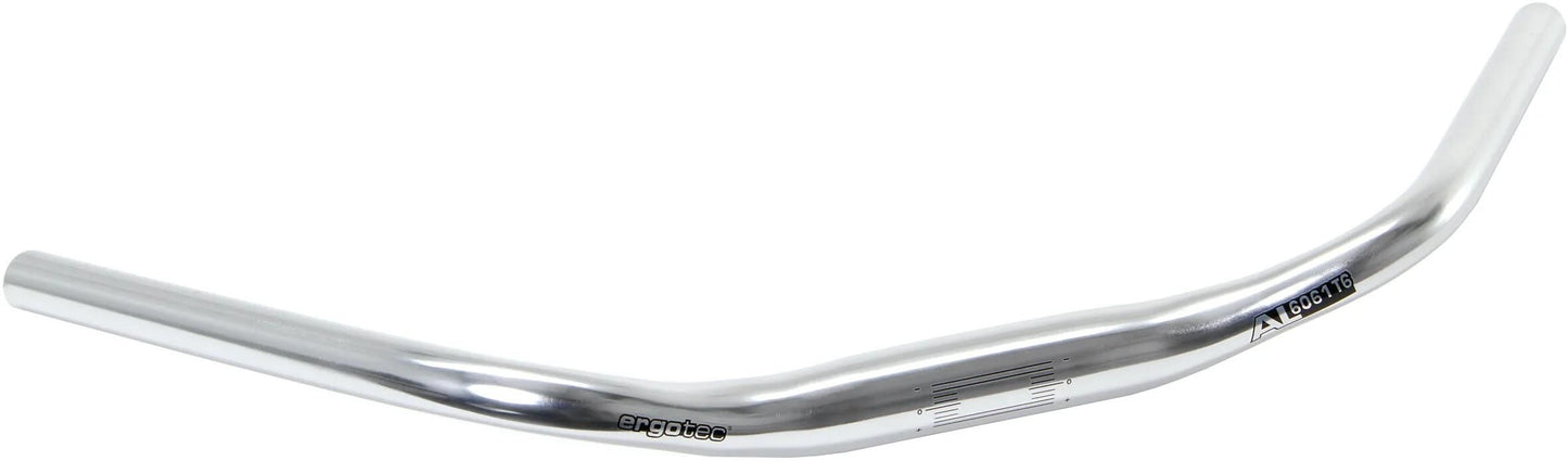 Ergotec Lenker Trekking E-Bike Riser 32 ø31.8x620 silber