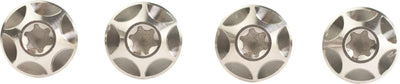 Silca Schraube Silber 4pcs.