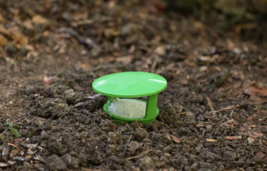 Schneckenfalle Schneckenschale 15cm