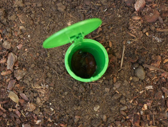 Schneckenfalle Schneckenschale 15cm