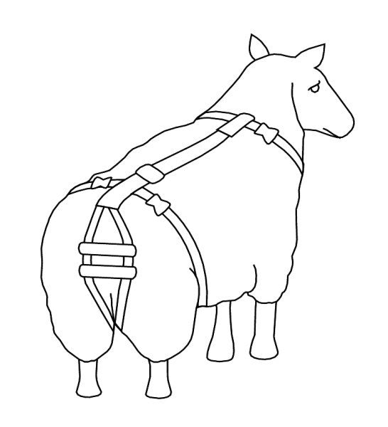 Body Bidder Bandage Prolaps-Bandage für Schafe