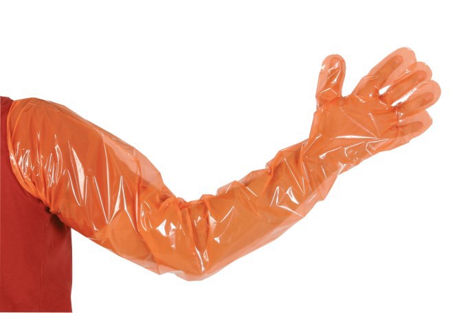 Kerbl Untersuchungshandschuh vetbasic lang 90cm %c3%a0 100 Stk