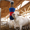 Happycow Rinderbürste Flexiswing