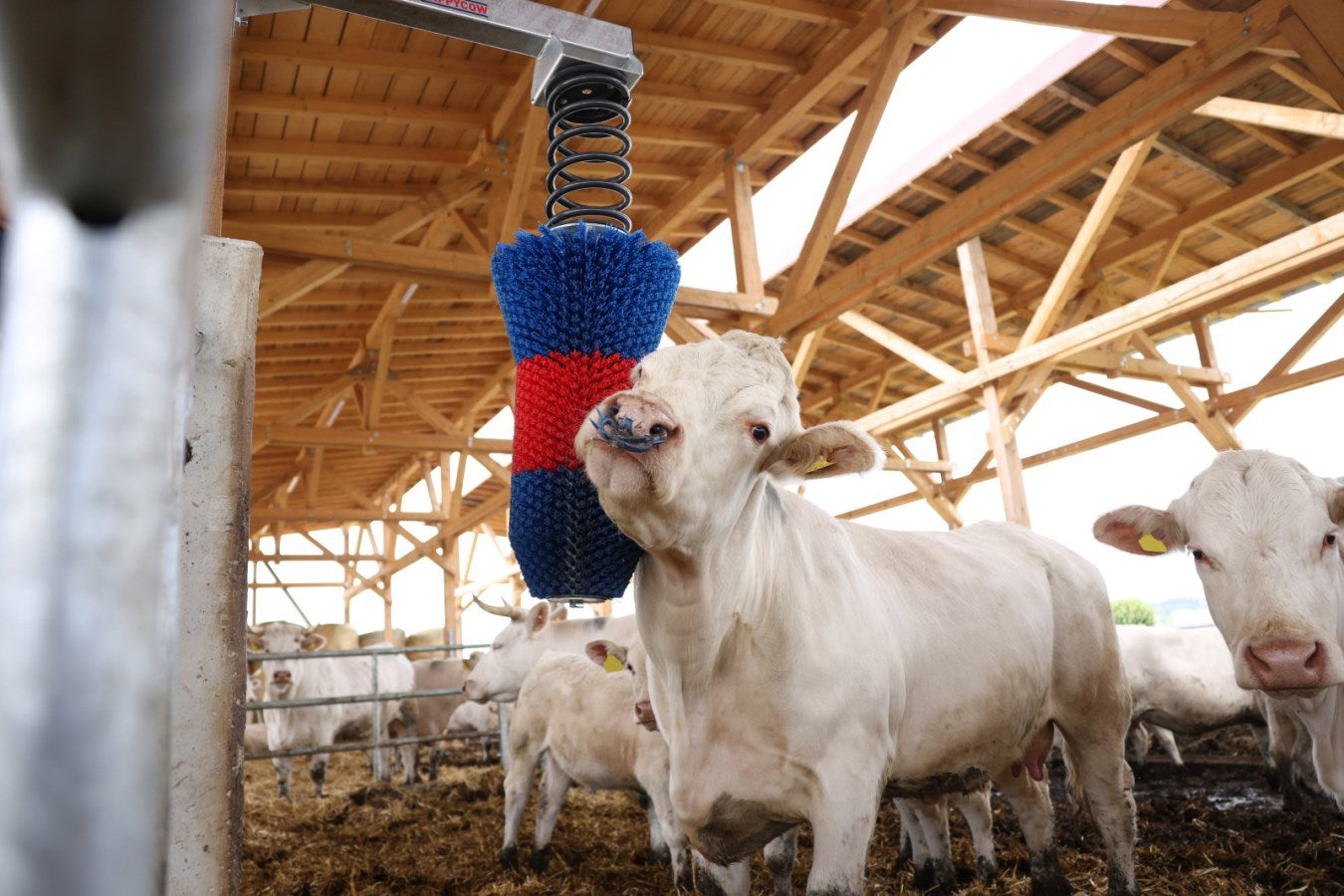 Happycow Rinderbürste Flexiswing