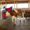 Happycow Kuhbürsten-Duo