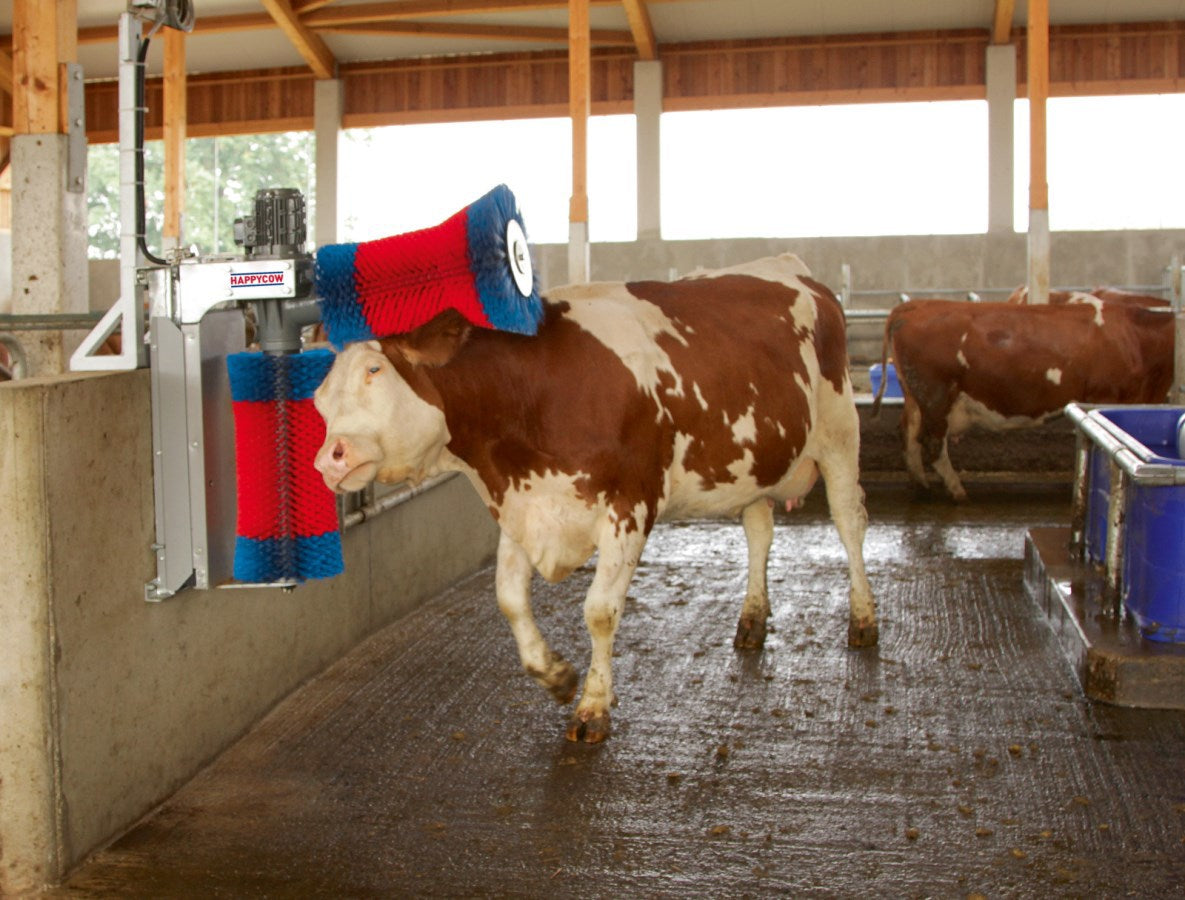 Happycow Kuhbürsten-Duo