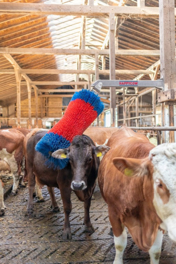 Happycow Viehbürste Freemaxi