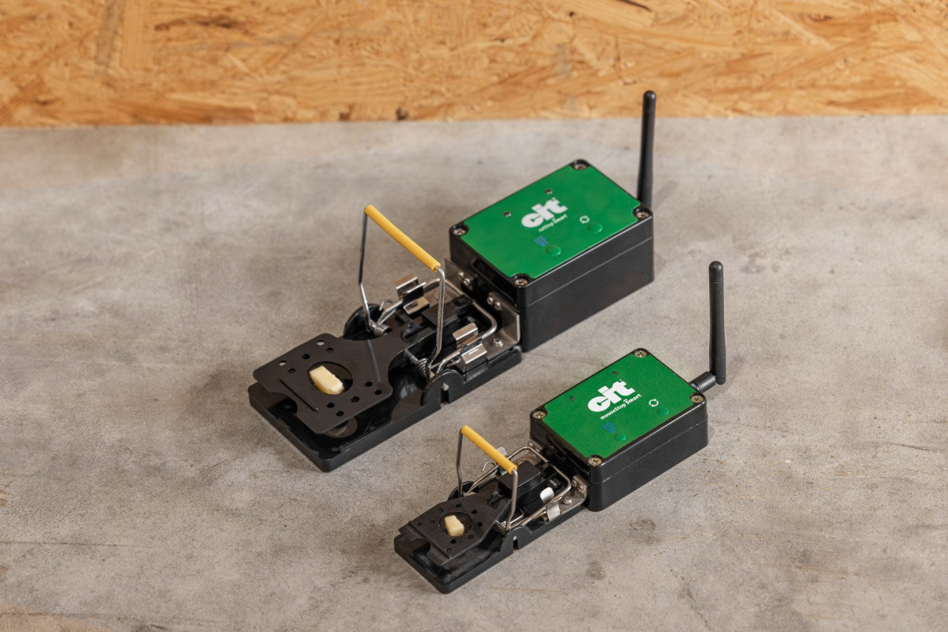Mausefalle Smart Cit Mousestop