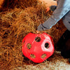 Roter Futterball
