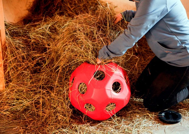 Roter Futterball