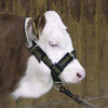 Bullenhalfter aus Nylon mit D-Ring