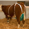 Euternetz komplett
