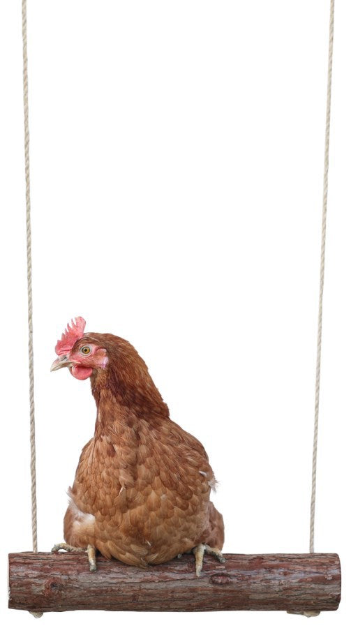 Kerbl Hühnerschaukel 39 x %c3%b8 5cm
