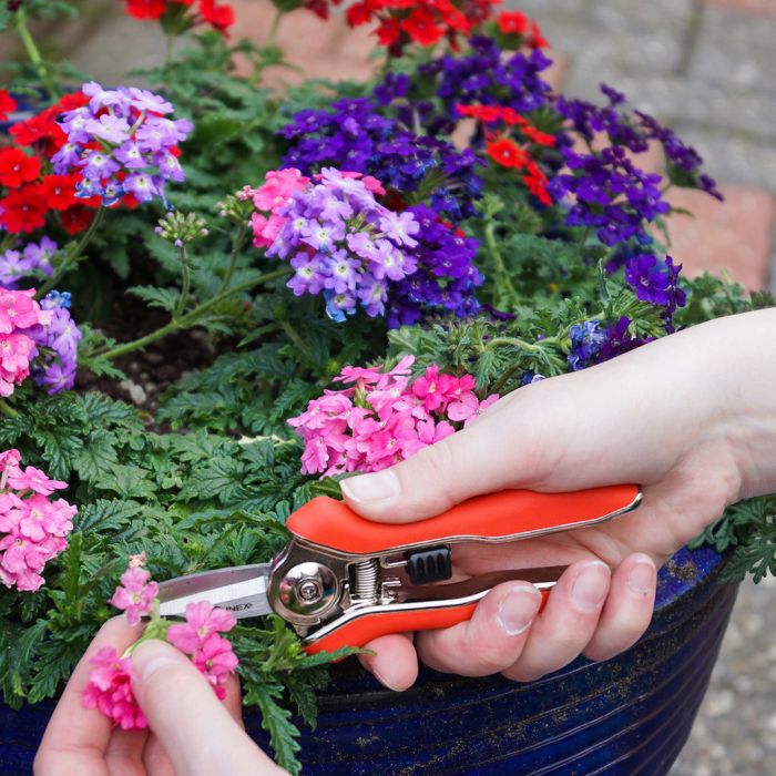 Mm Eurotool Trimmer-Ernteschere Mini