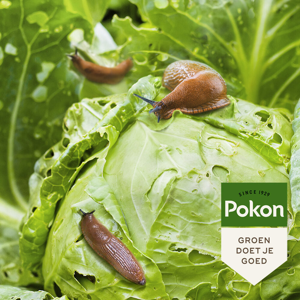 Pokon Bio gegen Schnecken Granulat 450gr